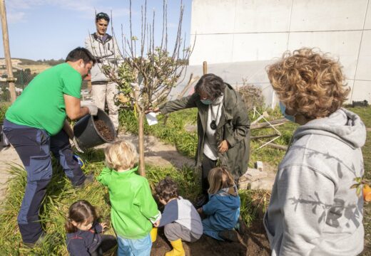 O Concello planta árbores nas escolas infantís municipais da Coruña polo Día Mundial da Árbore